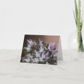 Vintage Merci Lilacs (Devant)