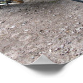 Vintage military motorcycle Poster (Coin)