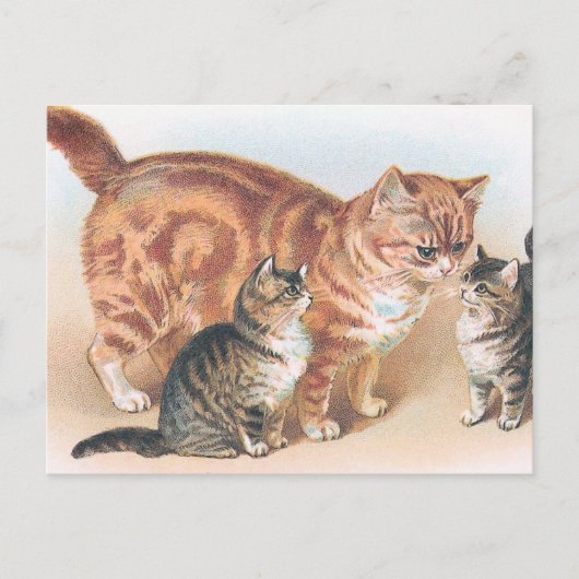 vintage "Momma Cat" Briefkaart (Voorkant)