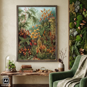 Vintage mossenplanten door Ernst Haeckel, Muscinae Poster