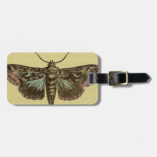 Vintage Moth Bagagelabel (Voorkant horizontaal)