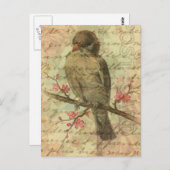 Vintage Mus Briefkaart (Voorkant / Achterkant)