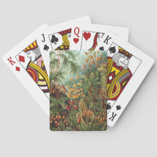 Vintage Muscinae, mosplanten door Ernst Haeckel Pokerkaarten