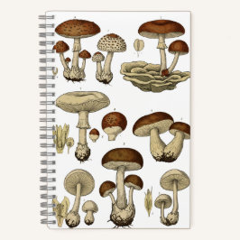 Vintage Mushrooms Notebook Notitieboek