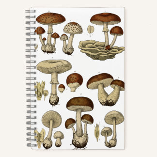 Vintage Mushrooms Notebook Notitieboek