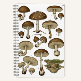 Vintage Mushrooms Notebook Notitieboek