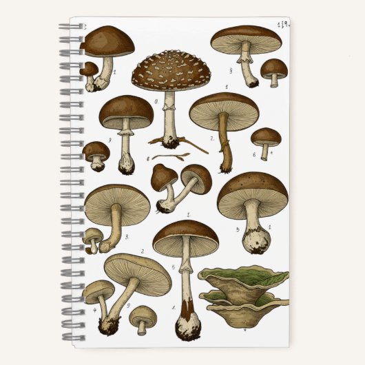 Vintage Mushrooms Notebook Notitieboek (Voorkant)