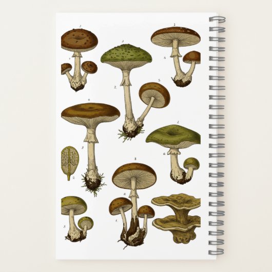 Vintage Mushrooms Notebook Notitieboek (Achterkant)