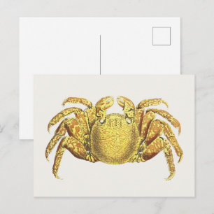 Vintage Nautical Bonte Krab Kust Muur Kunst Briefkaart