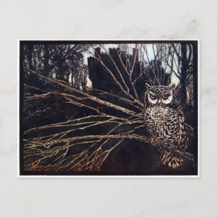 Vintage Night Owl Rackham Briefkaart
