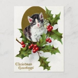 Vintage Noël Vacances chat sainte carte postale