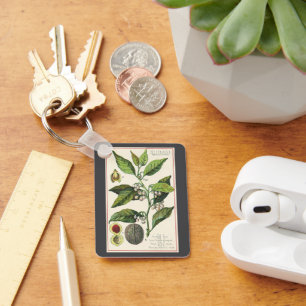 Vintage Nutmeg Plant Fruit Seeds, Food Herbs Spice Sleutelhanger