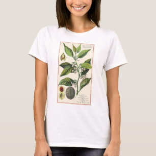 Vintage Nutmeg Plant Fruit Seeds, Food Herbs Spice T-shirt