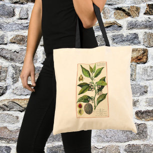 Vintage Nutmeg Plant Fruit Seeds, Food Herbs Spice Tote Bag