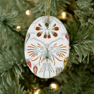 Vintage oceaandieren, Copepoda door Ernst Haeckel Keramisch Ornament