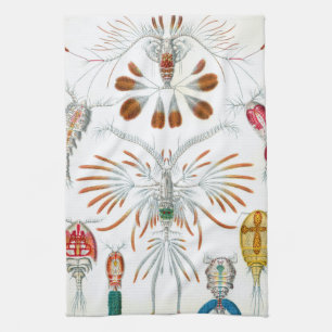 Vintage oceaandieren, Copepoda door Ernst Haeckel Theedoek