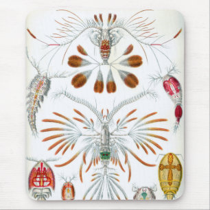 Vintage Oceandieren, Copepoda door Ernst Haeckel Muismat