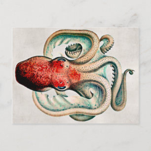 Vintage Octopus Briefkaart