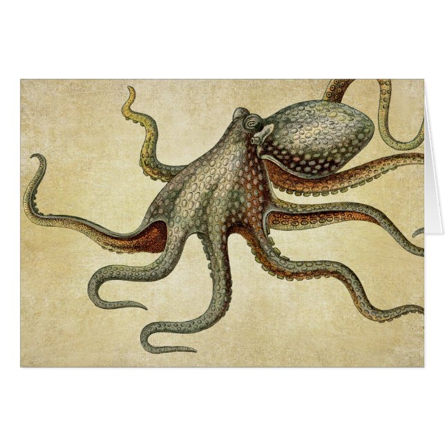 Vintage Octopus Nautique Vie maritime (Devant horizontal)