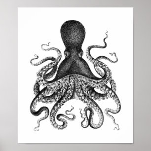 Vintage Octopus Poster