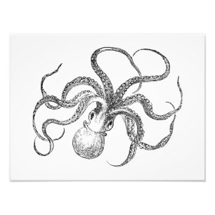 Vintage Octopus Sjabloon Foto Afdruk