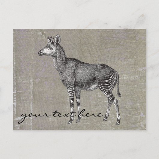 Vintage Okapi Briefkaart (Voorkant)