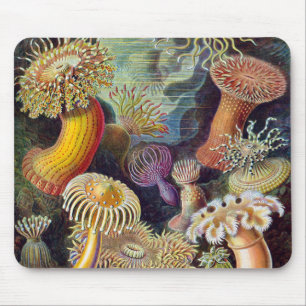 Vintage onderwater zeeanemonen door Ernst Haeckel Muismat