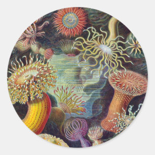 Vintage Onderwater Zeeanemonen door Ernst Haeckel Ronde Sticker