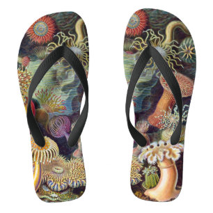 Vintage Onderwater Zeeanemonen door Ernst Haeckel Teenslippers