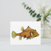 Vintage Orange Fish Briefkaart (Staand voorkant)