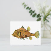 Vintage Orange Fish Briefkaart (Staand voorkant)