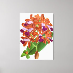 Vintage Orange violet orchidée - toile Imprimer