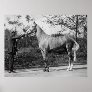 Vintage paarden fotografie poster