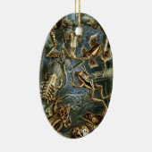 Vintage Padden en Kikkers Batrachia door Ernst Hae Keramisch Ornament (Rechts)