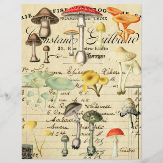Vintage Paddenstoel Schimmel Collage Vel