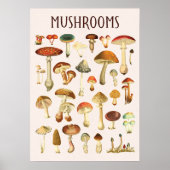 Vintage Paddenstoelenkaart Muur Kunst Poster (Voorkant)