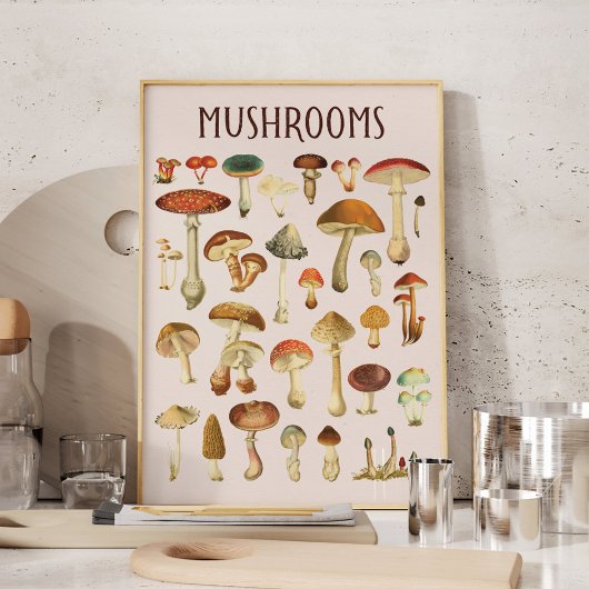 Vintage Paddenstoelenkaart Muur Kunst Poster