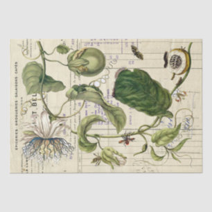 Vintage Passionflower Frans script botanisch Tissuepapier
