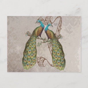 Vintage Pauw Grunge Damast Liefdesvogels Briefkaart
