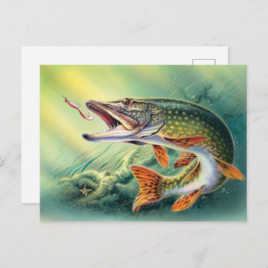 Vintage Pêche mignon poisson carte postale (Devant / Derrière)
