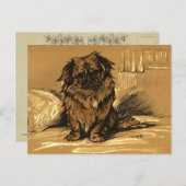 Vintage Pekingeses Briefkaart (Voorkant / Achterkant)