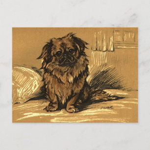 Vintage Pekingeses Briefkaart