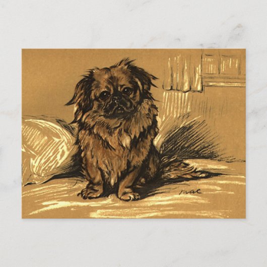 Vintage Pekingeses Briefkaart (Voorkant)