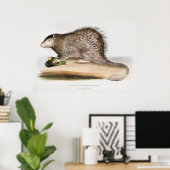 Vintage Porcupine Poster (Thuiskantoor)