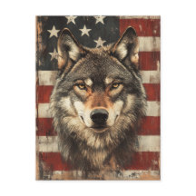 Vintage Portrait Wolf Mit Amerikanischer Flagge