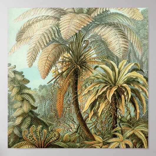 Vintage Poster (Voorkant)