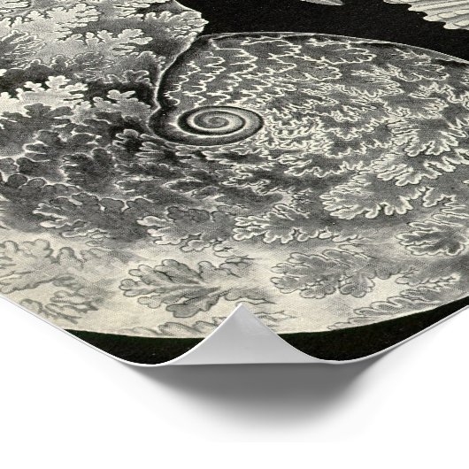 Vintage Poster (Hoek)