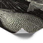 Vintage Poster (Hoek)