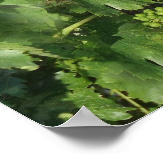 vintage poster (Hoek)