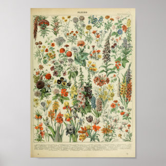Vintage Poster Plant bosbloembloem